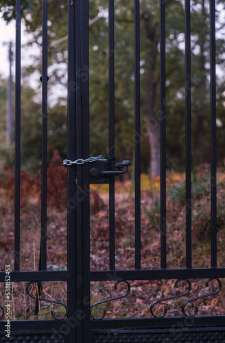 closed focus vintage black wrought iron fence