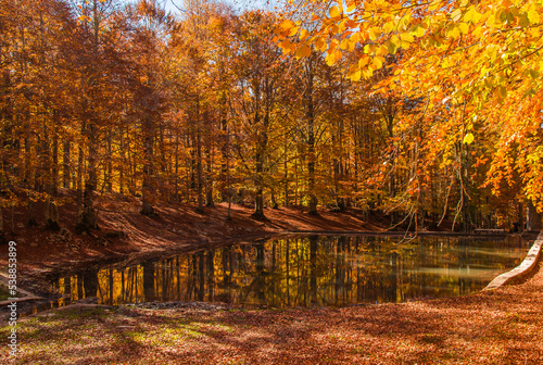 Amazing little lake in the autumn beech forest of Campo dell Osso Monte Livata in Lazio Italy