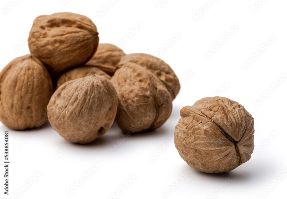 walnut isolate on white walnut isolate on white