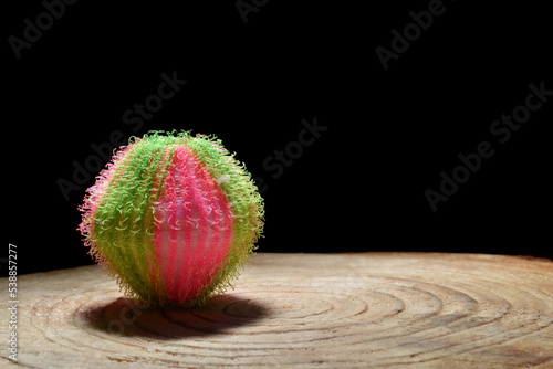 roug, pink and green washing machine detergent ball standing on a cut tree trunk