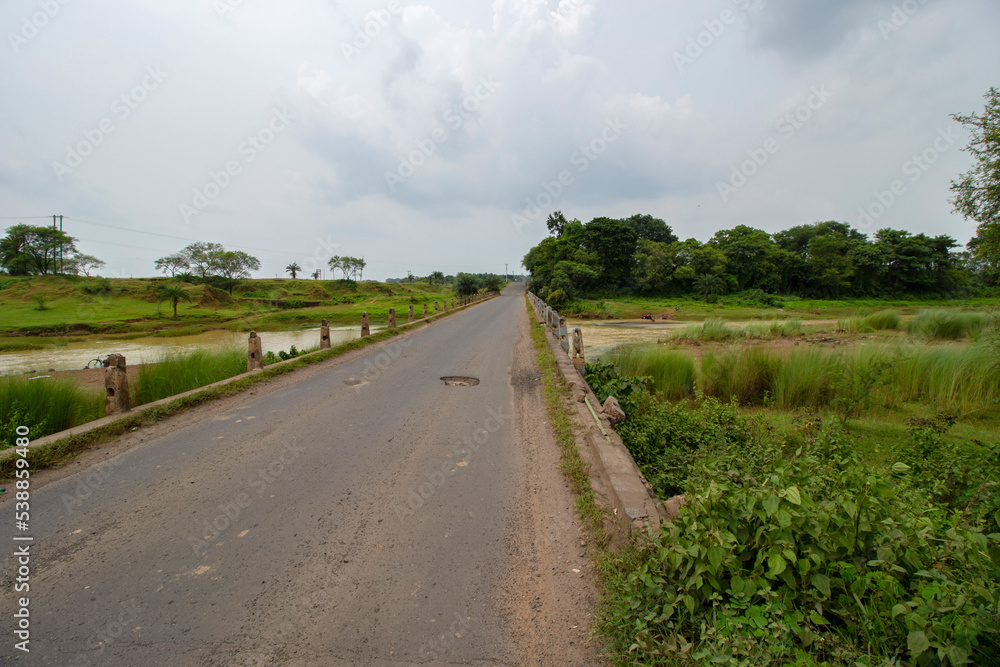 16th August, 2022, Belpahari, West Bengal, India: Beautiful village road of Bengal a man walking with his goats for farming. Paddy fields both side of the road and in the background.