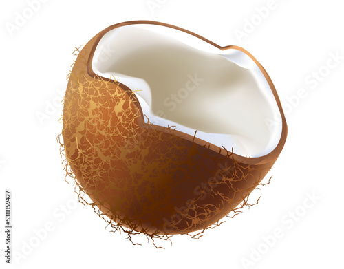 Broken soft-fleshed coconut used in cooking and confectionery