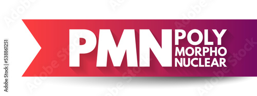 PMN PolyMorphoNuclear - having a nucleus with several lobes and a cytoplasm that contains granules, as in an eosinophil or basophil, acronym text concept background
