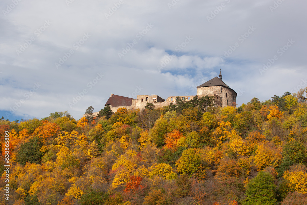 An old castle emerges from the autumnal forest. The roofs of the castle emerge from the forest in yellow orange red green colors, creating patches of color contrasting enormously with the overcast sky