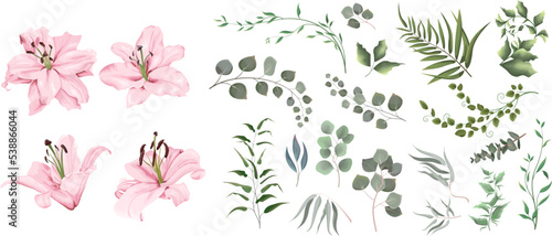 Vector grass and flower set. Eucalyptus, different plants and leaves. Pink lilies , branches with flowers