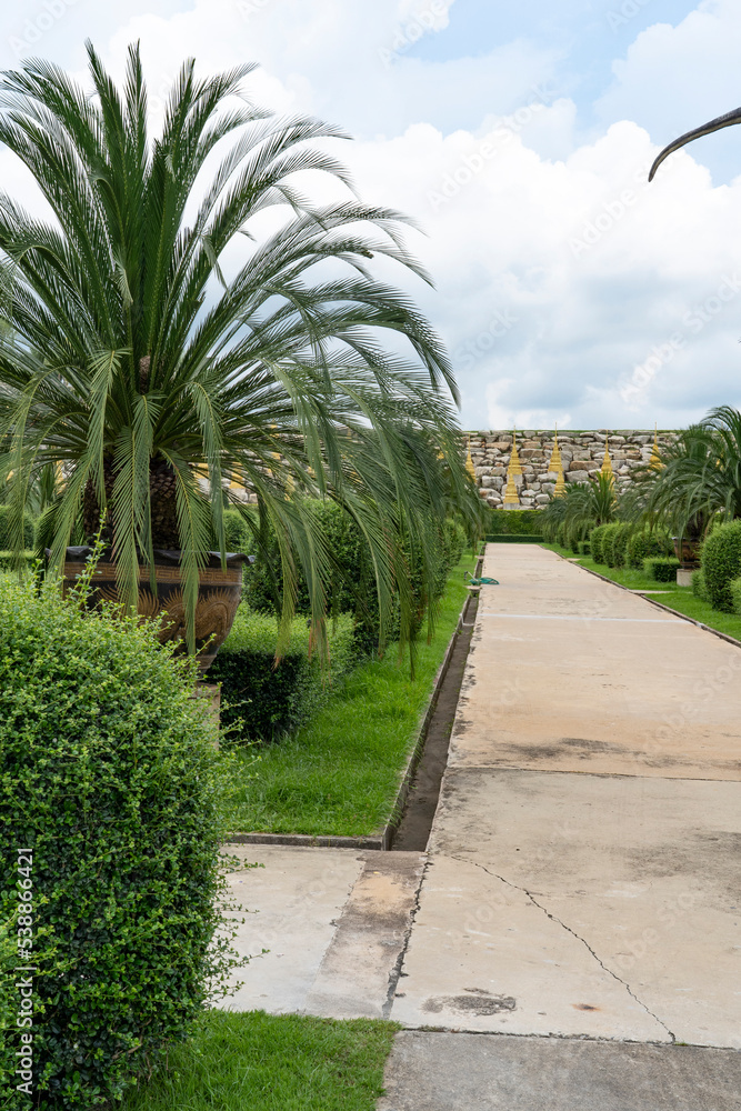 A straight stone path among palm trees and trimmed bushes in a city park. Sky with rain clouds.