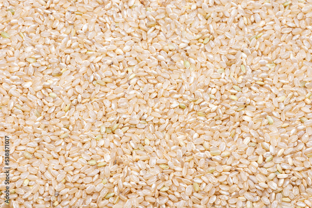 rice brouwn round rice brouwn round