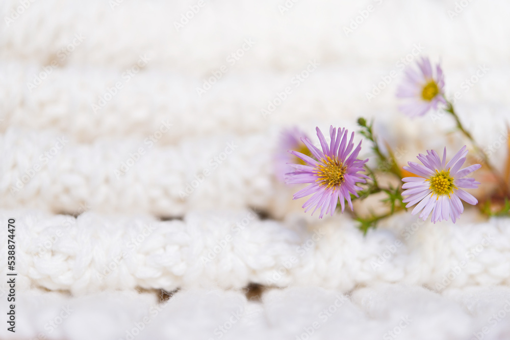 Beautiful flower arrangement. Small branches of flowers, free space for text on a light pastel background. copy space Beautiful flower arrangement. Small branches of flowers, free space for text on a light pastel background. copy space