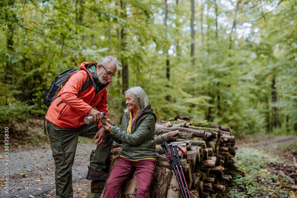 Fototapeta premium Senior couple having break during hiking in autumn forest.