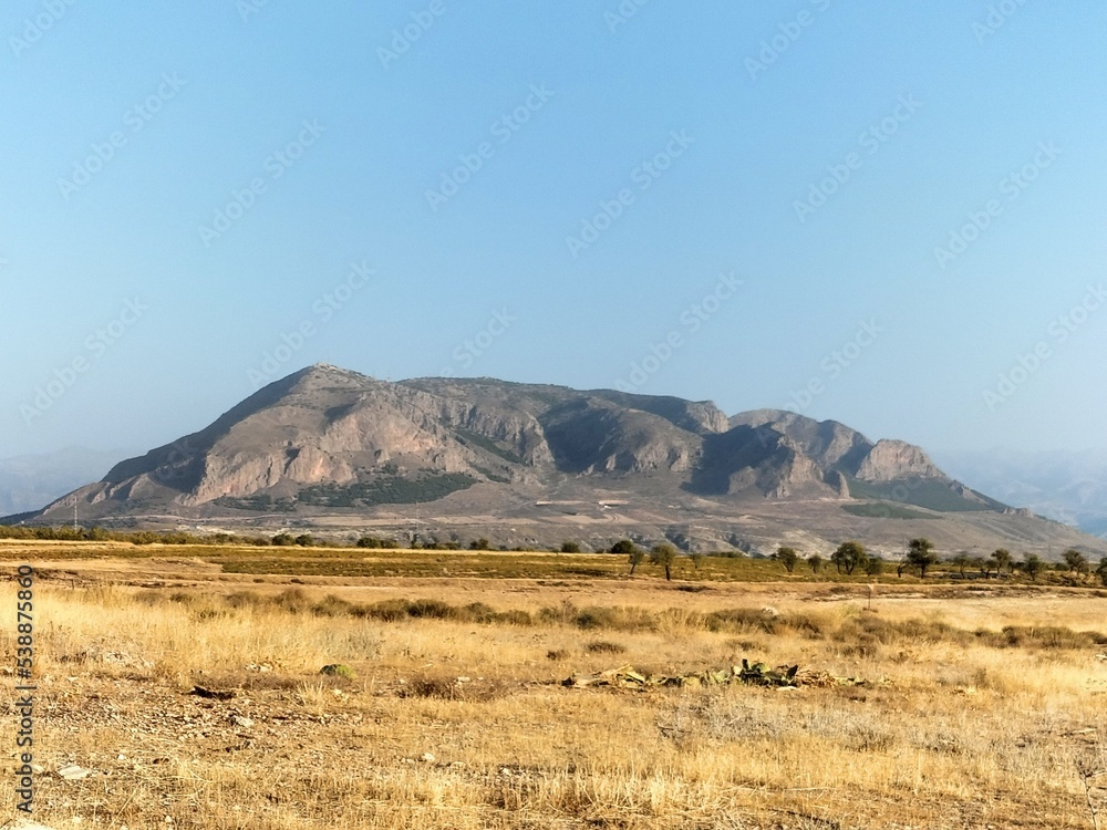 Fototapeta premium landscape with sky