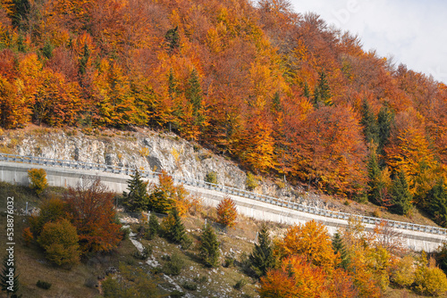 Road viaduct made in the wall of a rock. Mountain road in autumn landscape. Transportation infrastructure industry.