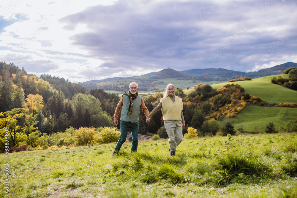 Happy senior couple walking in autumn meadow.