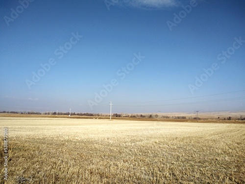 wheat field and blue sky