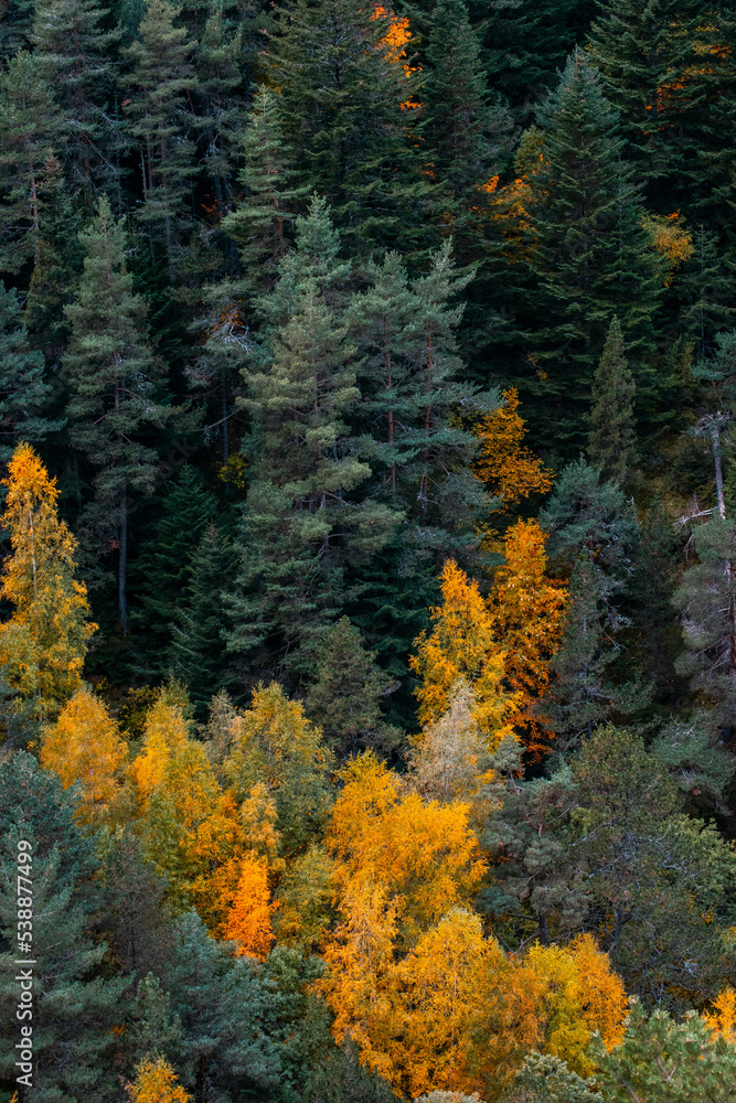 Andorra Engolasters. Montañas de los Pirineos. En la cima de los colores del follaje de otoño. Andorra Engolasters. Montañas de los Pirineos. En la cima de los colores del follaje de otoño.