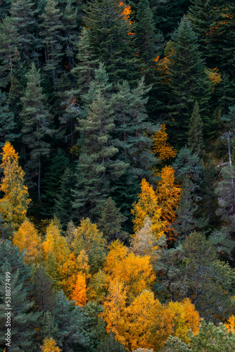 Andorra Engolasters. Montañas de los Pirineos. En la cima de los colores del follaje de otoño.