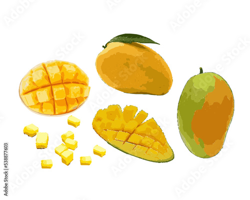 Set of vector illustrations of whole, sliced, peeled mango fruit isolated on white background.