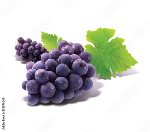 Grapes, leaves isolated on white background