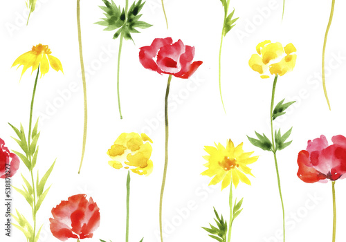 watercolor drawing seamless pattern with wild flowers at white background, hand drawn illustration © cat_arch_angel