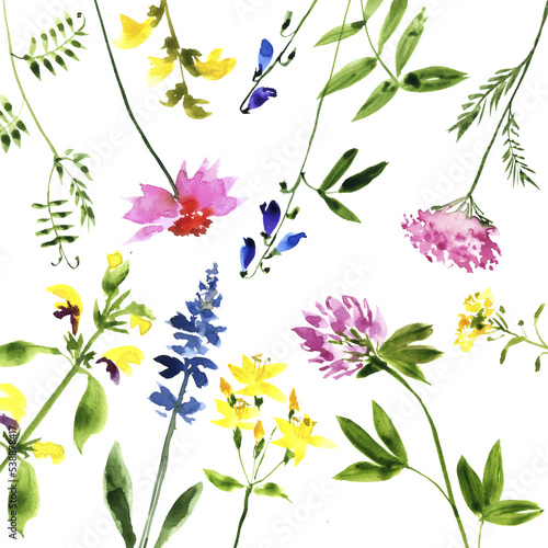 watercolor drawing wild flowers at white background, hand drawn illustration
