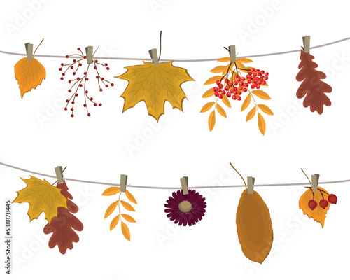 Autumn leaves and berries hang on the clotheslines. There are leaves of maple, oak, birch, rowan and other trees in the picture. Hello Autumn - concept. Vector illustration