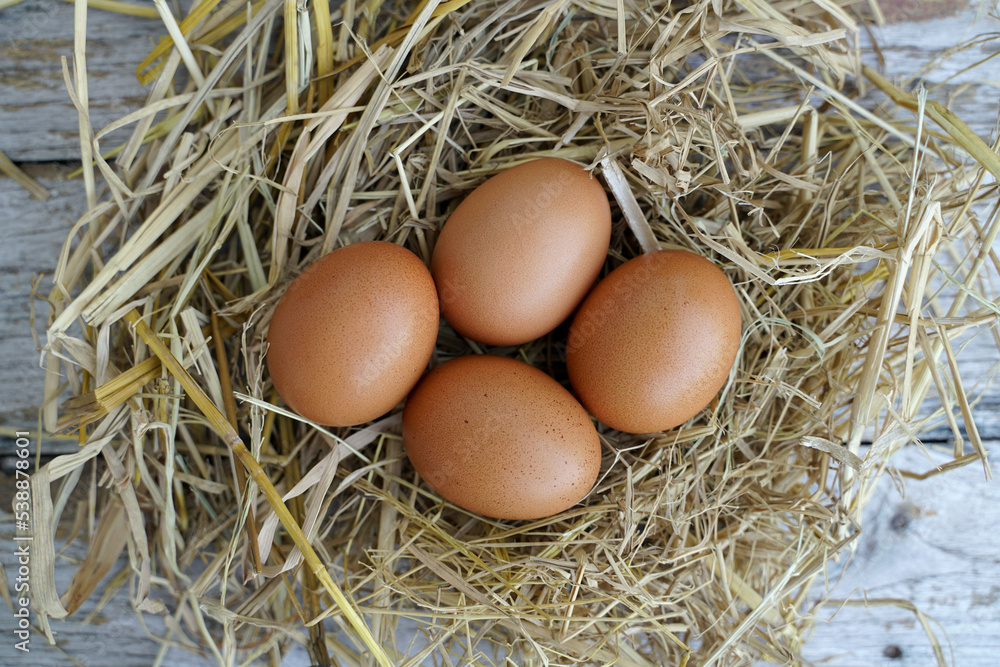 Fresh chicken eggs on dry straw and wooden table in rural village farm in Thailand. Fresh chicken eggs on dry straw and wooden table in rural village farm in Thailand.