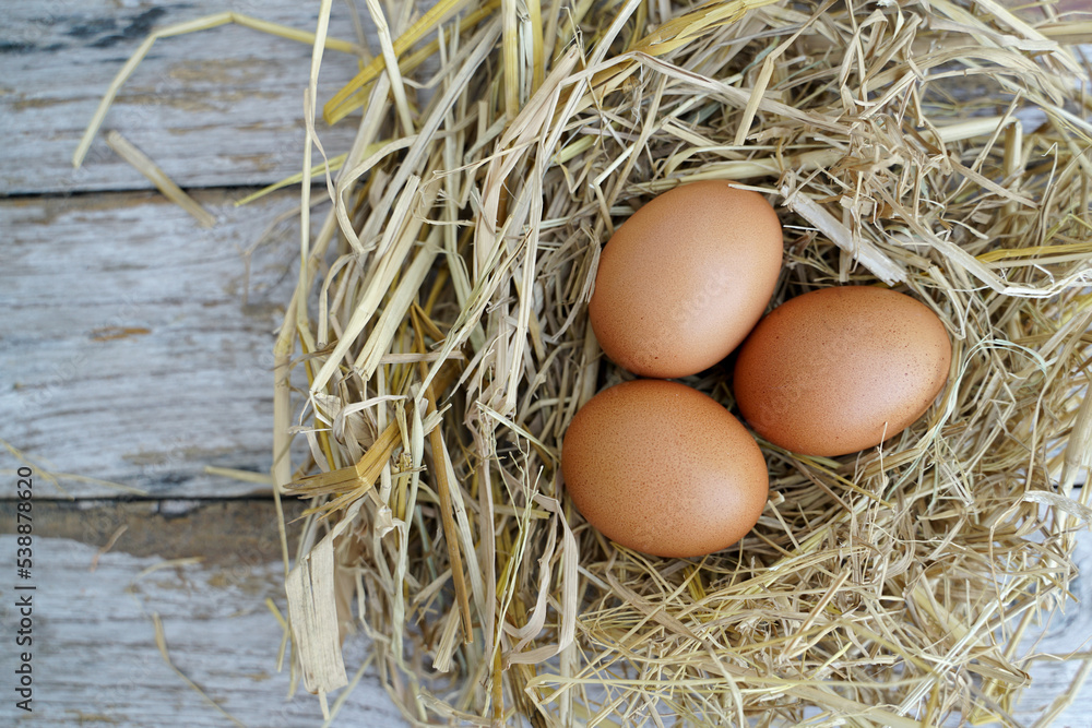 Fresh chicken eggs on dry straw and wooden table in rural village farm in Thailand. Fresh chicken eggs on dry straw and wooden table in rural village farm in Thailand.
