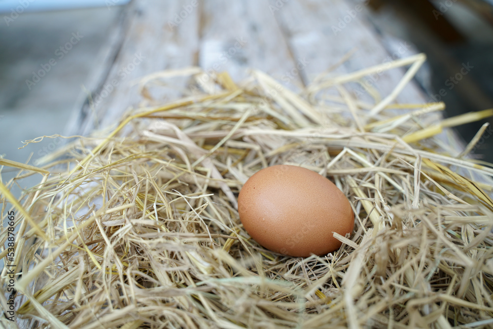 Fresh chicken eggs on dry straw and wooden table in rural village farm in Thailand. Fresh chicken eggs on dry straw and wooden table in rural village farm in Thailand.