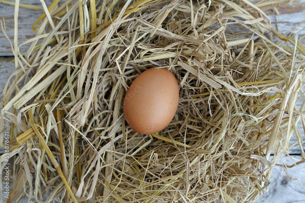 Fresh chicken eggs on dry straw and wooden table in rural village farm in Thailand.