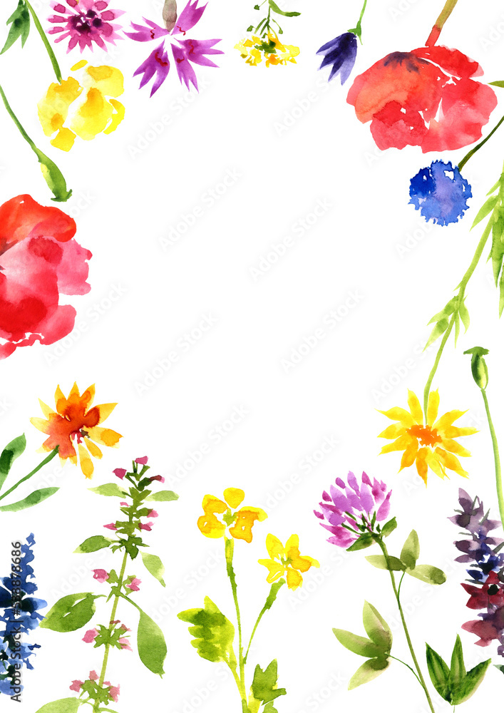 watercolor drawing wild flowers at white background, hand drawn illustration