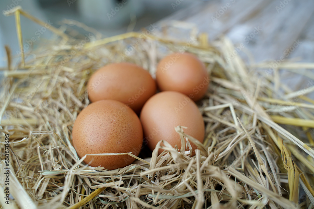 Fresh chicken eggs on dry straw and wooden table in rural village farm in Thailand.