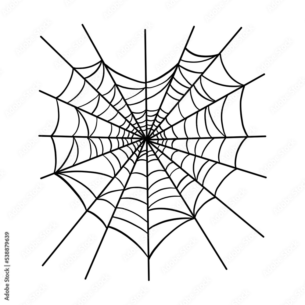 Fototapeta premium Black Heart Spider Web