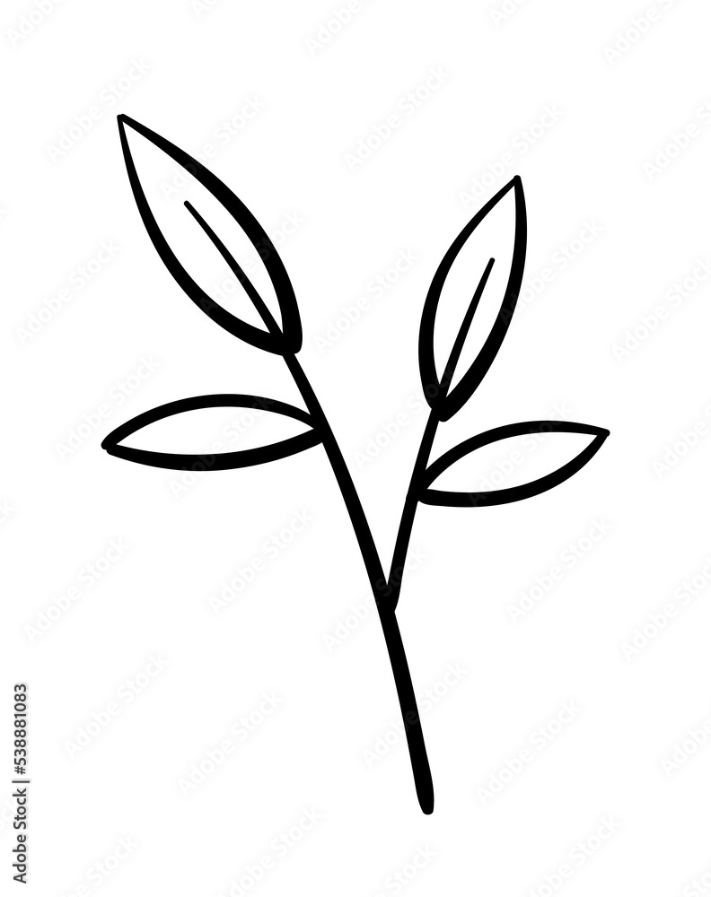 Hand painted branch. Botany and floristry. Biology and love for nature and environment, care for plants. Graphic element for printing on fabric. Poster or banner. Cartoon flat vector illustration Hand painted branch. Botany and floristry. Biology and love for nature and environment, care for plants. Graphic element for printing on fabric. Poster or banner. Cartoon flat vector illustration
