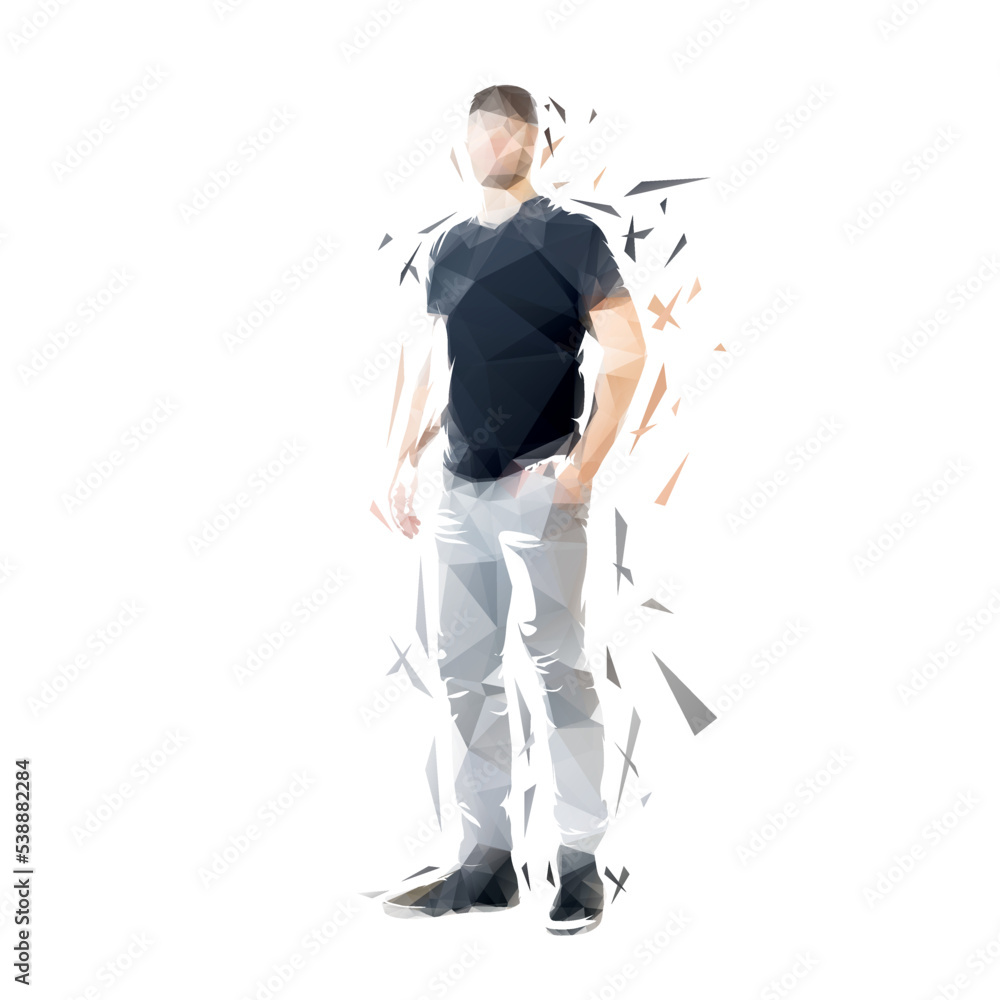 Man clothed in shirt and jeans standing, front view. Isolated low polygonal vector illustration from triangles Man clothed in shirt and jeans standing, front view. Isolated low polygonal vector illustration from triangles
