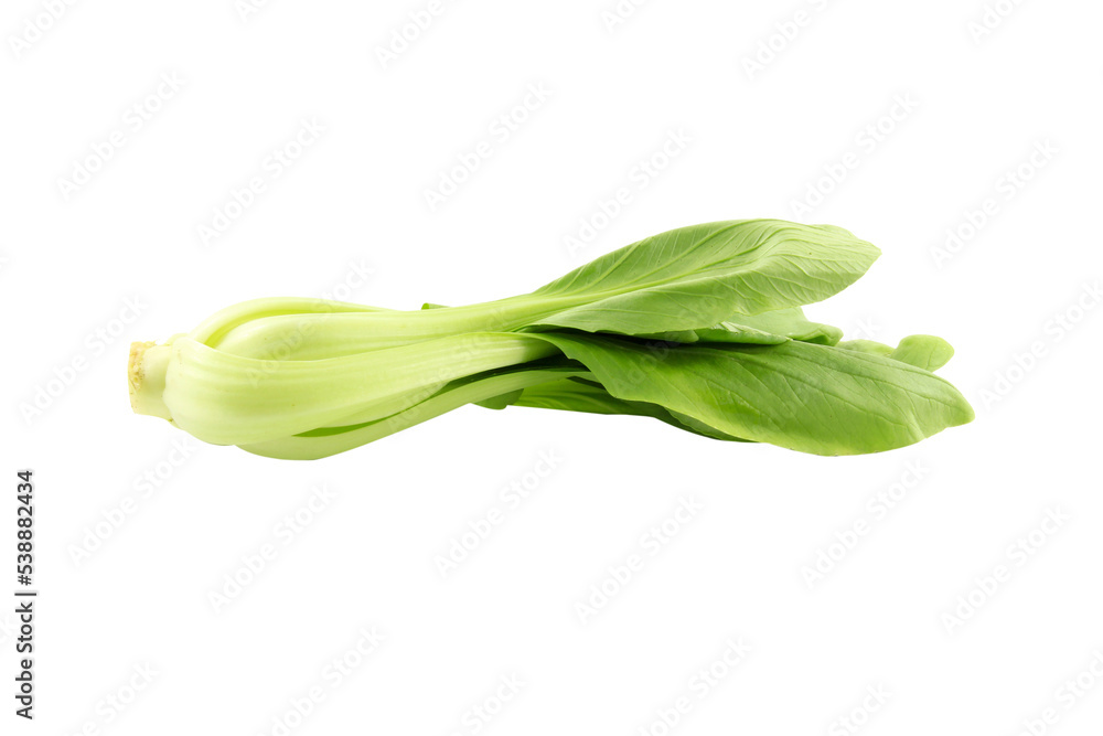 green lettuce for cooking isolated on white background. green lettuce for cooking isolated on white background.
