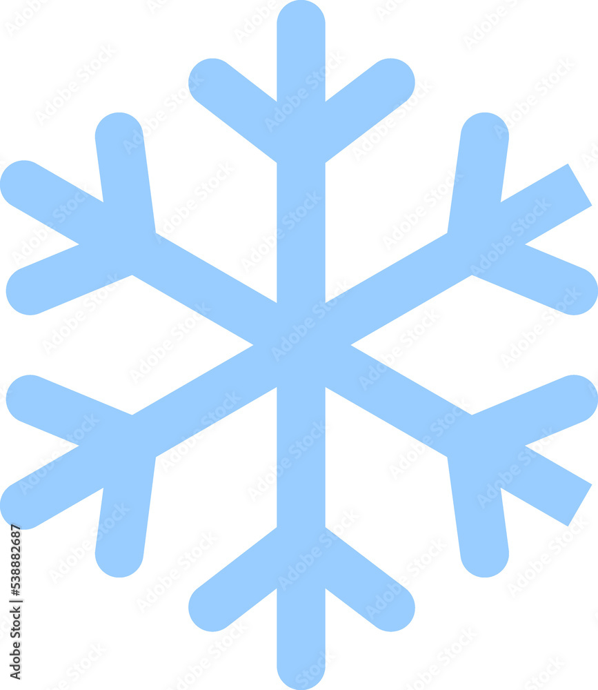 Obraz premium Snowflake 