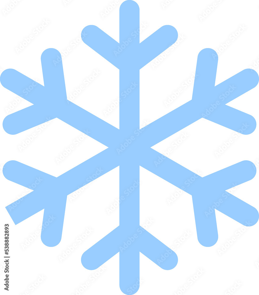 Fototapeta premium Snowflake
