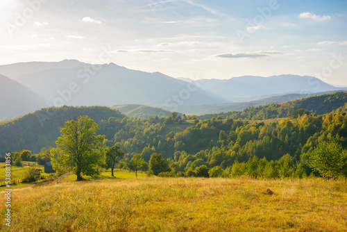 carpathian countryside landscape at sunset. grassy rural pastures and forested slopes in evening light. warm autumn weather with fluffy clouds on the bright blue sky
