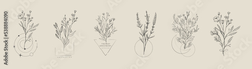 Set of floral compositions. Botanical arrangement of leaves branches and blooming flowers. Vector ornamental herbs in boutonniere and bouquet. Wedding design
