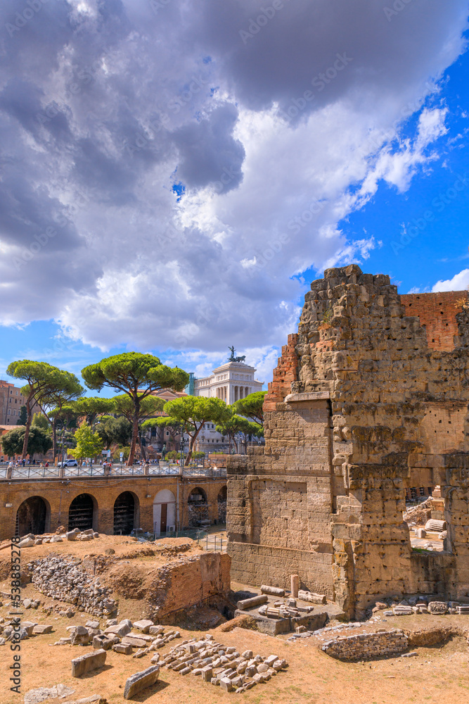 Rome cityscape: the ruins of the Forum of Nerva  (Forum Transitorium) and the Via dei Fori Imperiali, in the background at the top the propylaeum of the Altar of Peace.