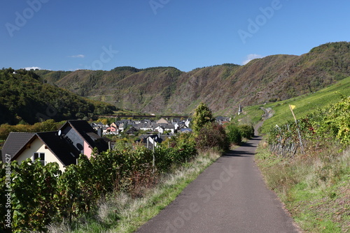 Landschaft der Mosel bei Ediger-Eller, Deutschland photo