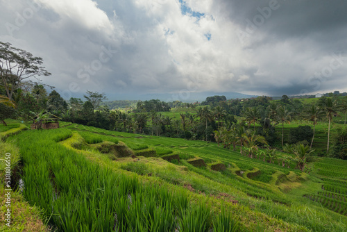 Jatiluwih rice terrace in bali in the clouds photo