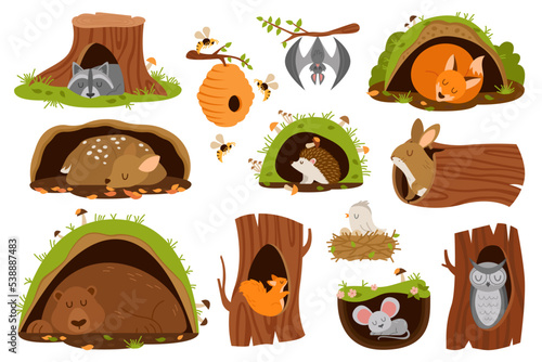 Cartoon animals inside burrow. Cute owl, fox, mouse, rabbit, bear, deer, squirrel, raccoon sleeping