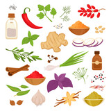 Spices and herbs set. Cartoon cooking food with fresh dry red hot chili peppers, paprika, onion