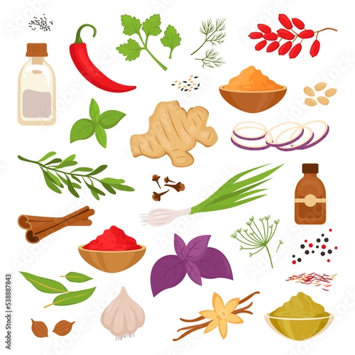 Spices and herbs set. Cartoon cooking food with fresh dry red hot chili peppers, paprika, onion
