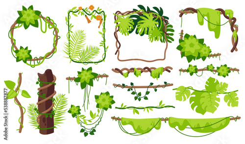 Cartoon jungle tropical liana branch frames vines, forest plants thicket. Rainforest hanging roots