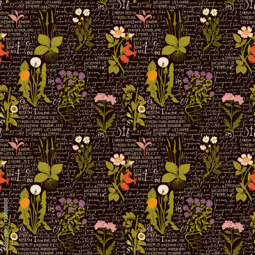 Colored seamless pattern with hand-drawn medicinal herbs and handwritten text Lorem Ipsum. Vector background on the theme of herbal medicine. Retro wallpaper, wrapping paper or fabric