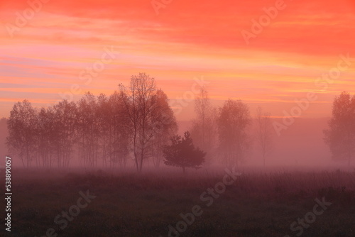 Wschód słońca nad zamgloną łąką. Pażdziernik. Polska