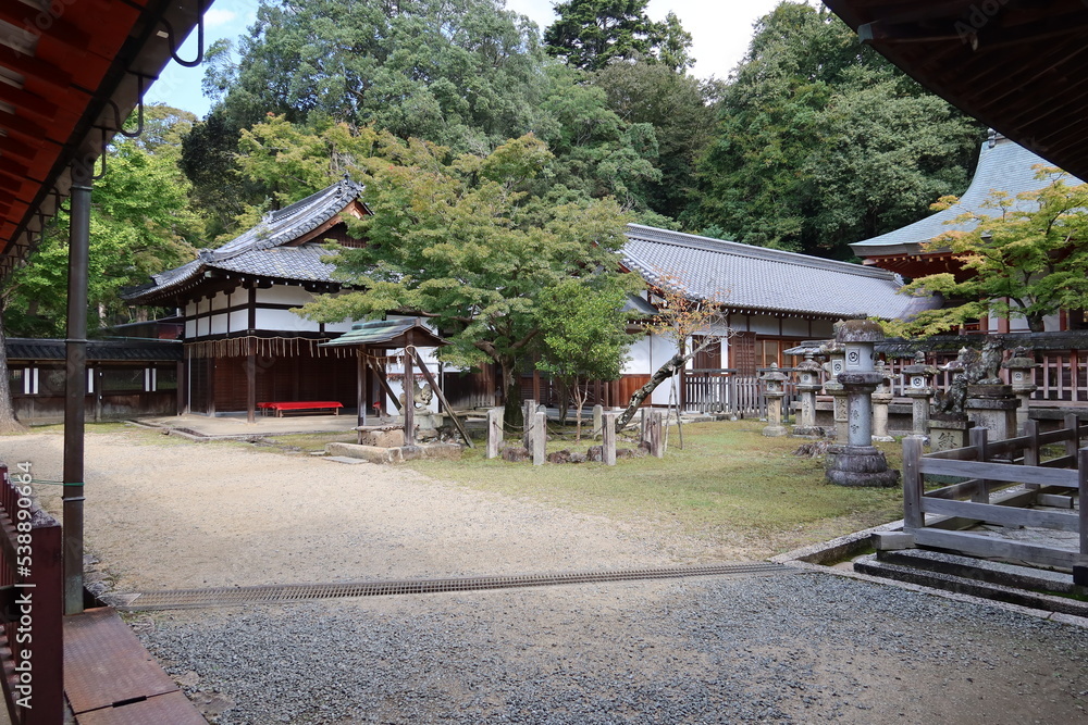 Fototapeta premium Japanese temples and shrines: a scene of the precincts of Tamukeyama-hachimangu Shrine by Hokke-do Hall in Nara City in Nara Prefecture 日本の神社仏閣: 奈良市にある東大寺法華堂傍にある手向山八幡宮境内の一風景