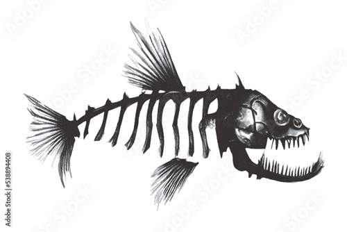Fish skeleton. Fantastic Sea monster. Doodle sketch. Vector illustration. Isolated on white background.