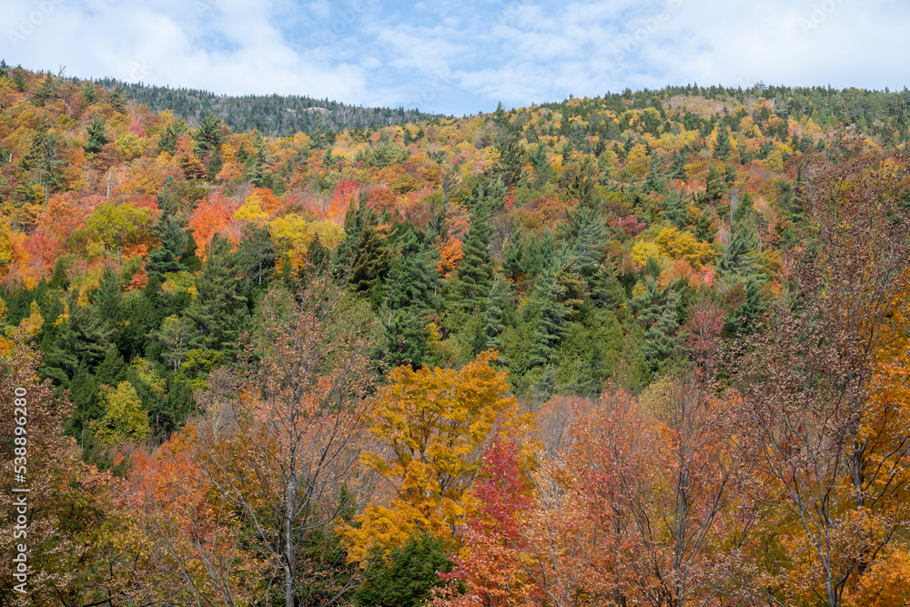 Autumn view into the side of a mountain in the Adirondacks 